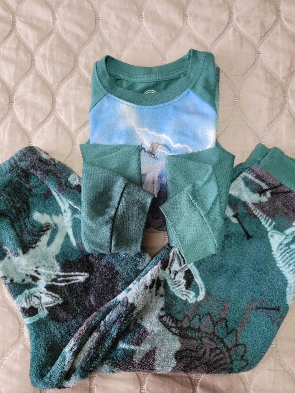 Boy's Wonder Nation Dinosaur T-Rex Green 2Pc Pajama Set, s.6-7